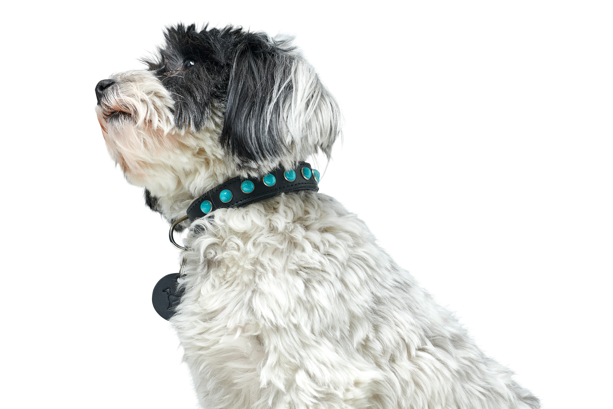 HUNTER Halsband Modica - 5
