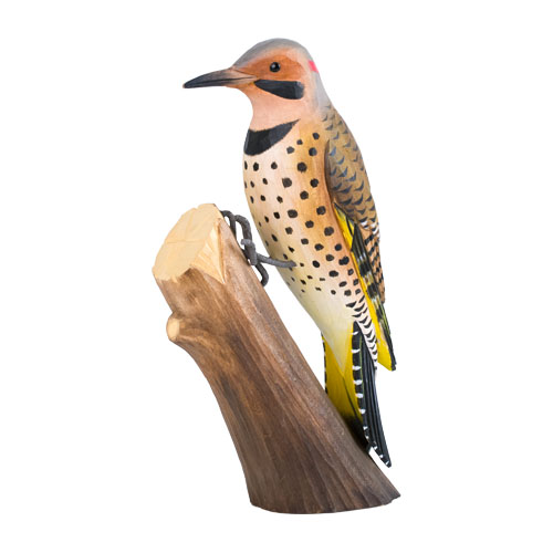 DecoBird Northern Flicker