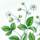 ラース・トーレン  Floraシリーズ　四角のフラワーの陶板 20cm  1950年代