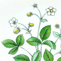 Lars Thorén (Flora 1950s) Quadratic Wall Plate with White Flower Motif 20 cm