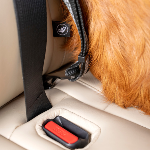 Kurgo Direct to ISO-FIX fastening device - 4