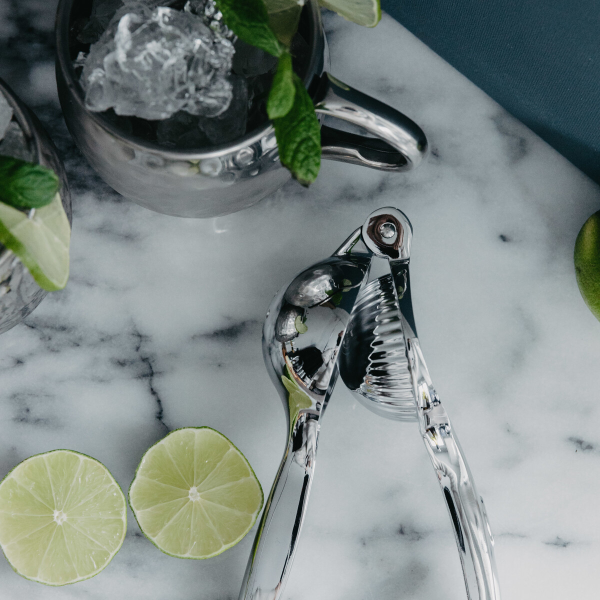 Taylors Citruspress Limepress Rostfri - 2