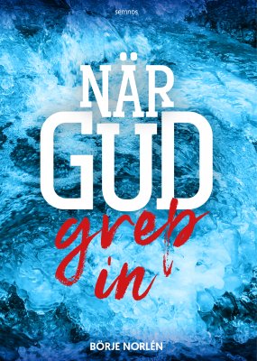 NÄR GUD GREP IN - Börje Norlén