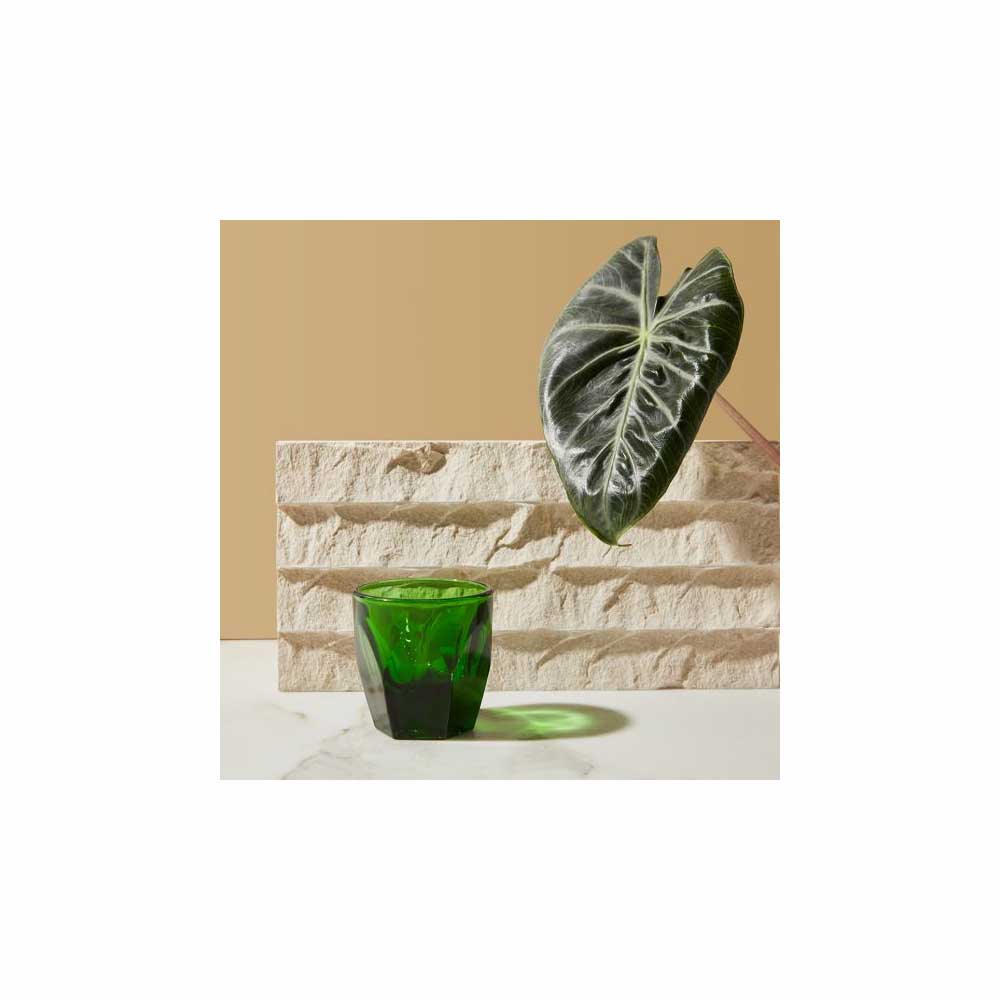 Not Neutral - VERO Cortado - Cortadoglas, macchiatoglas, whiskeyglas - Emerald - handgjorda i USA - 125ml - 2