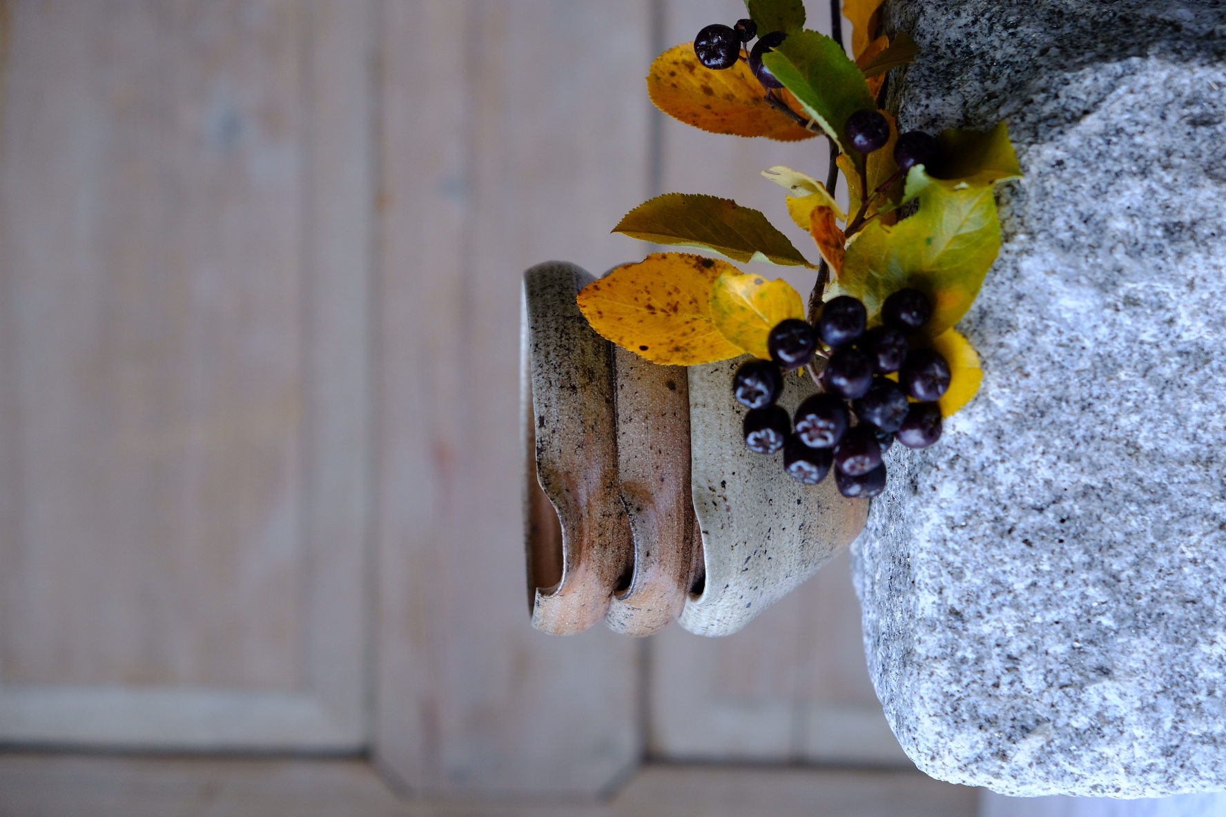 Spillkum hull brösä med hällpip. tre st med aronia höstlöv