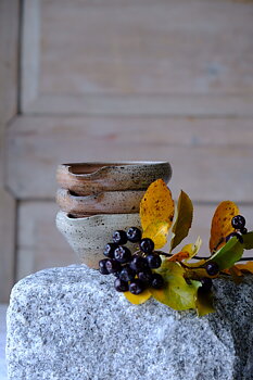 Spillkum hull brösä med hällpip. tre st med aronia höstlöv