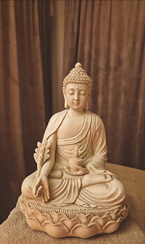 Buddah - Medicine on Lotus