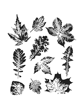 Tim Holtz Cling Stamps 18 x 15 cm -Leaf Prints 2