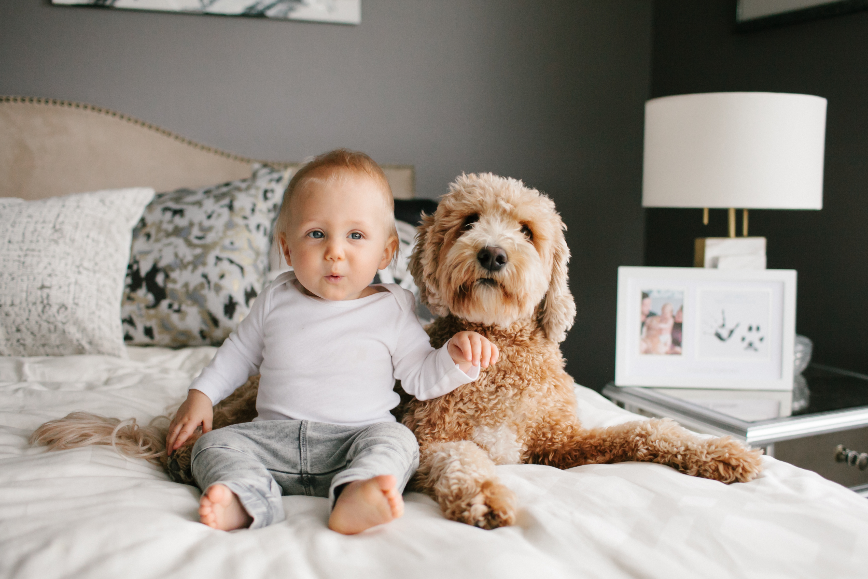 "Best Friends Forever" Prints Frame - Pet & Baby White - 5