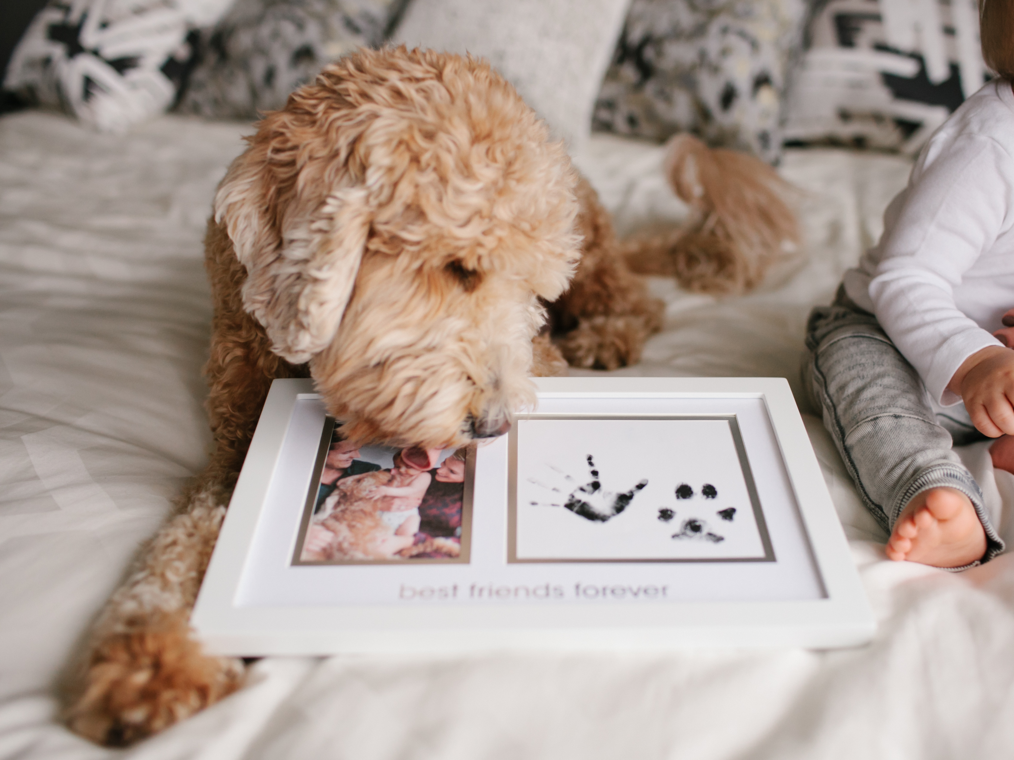 "Best Friends Forever" Prints Frame - Pet & Baby White - 6