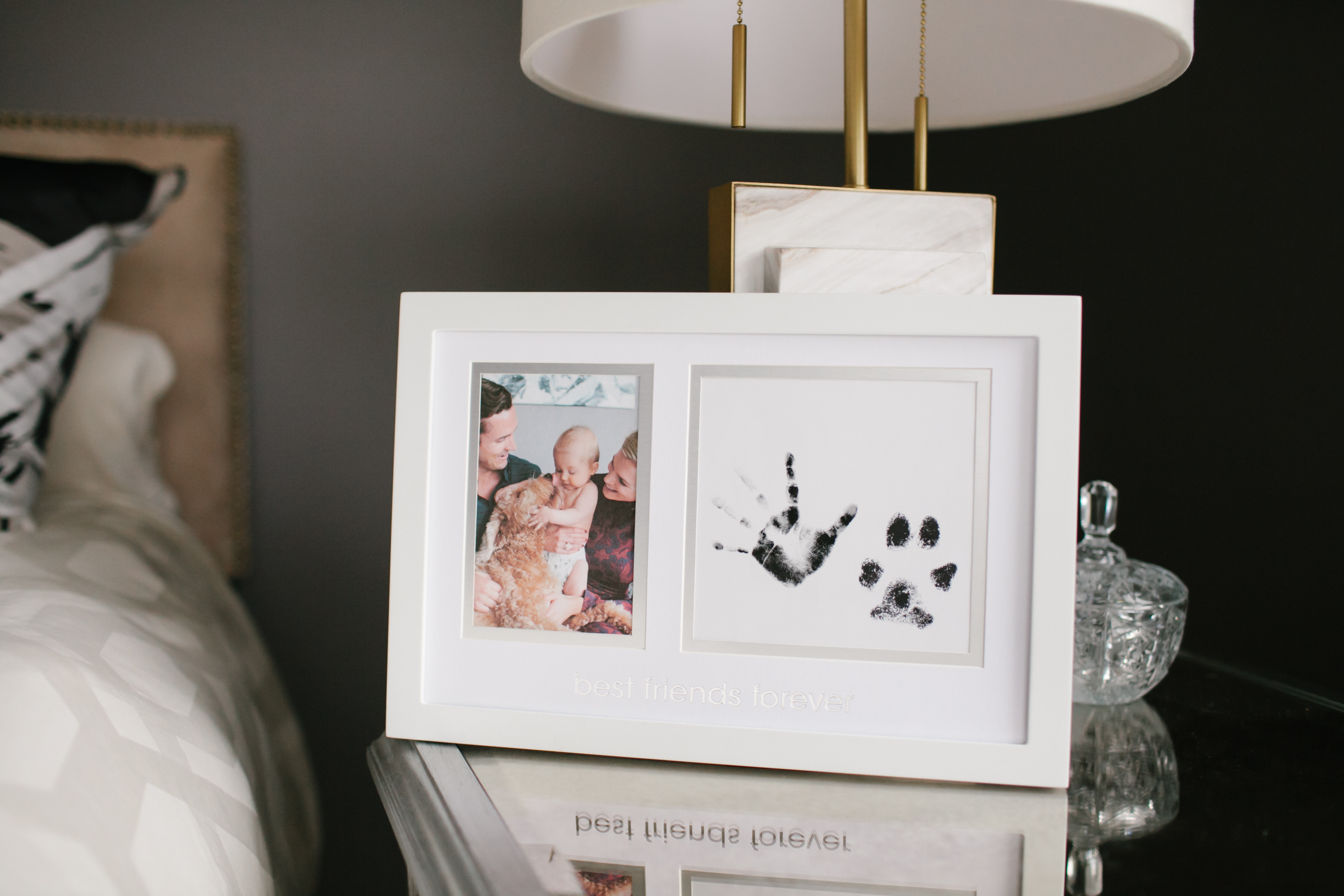 "Best Friends Forever" Prints Frame - Pet & Baby White - 4