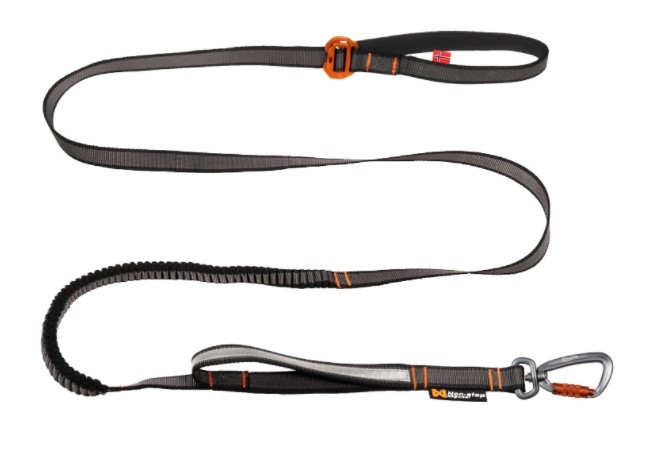 Non-Stop Touring  Bungee adjustable leash