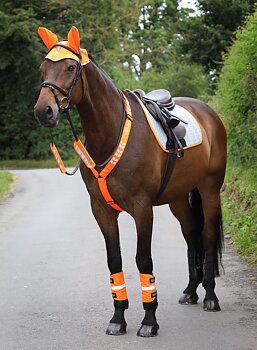 Equi-Flector Reflex Breastplate -  Orange