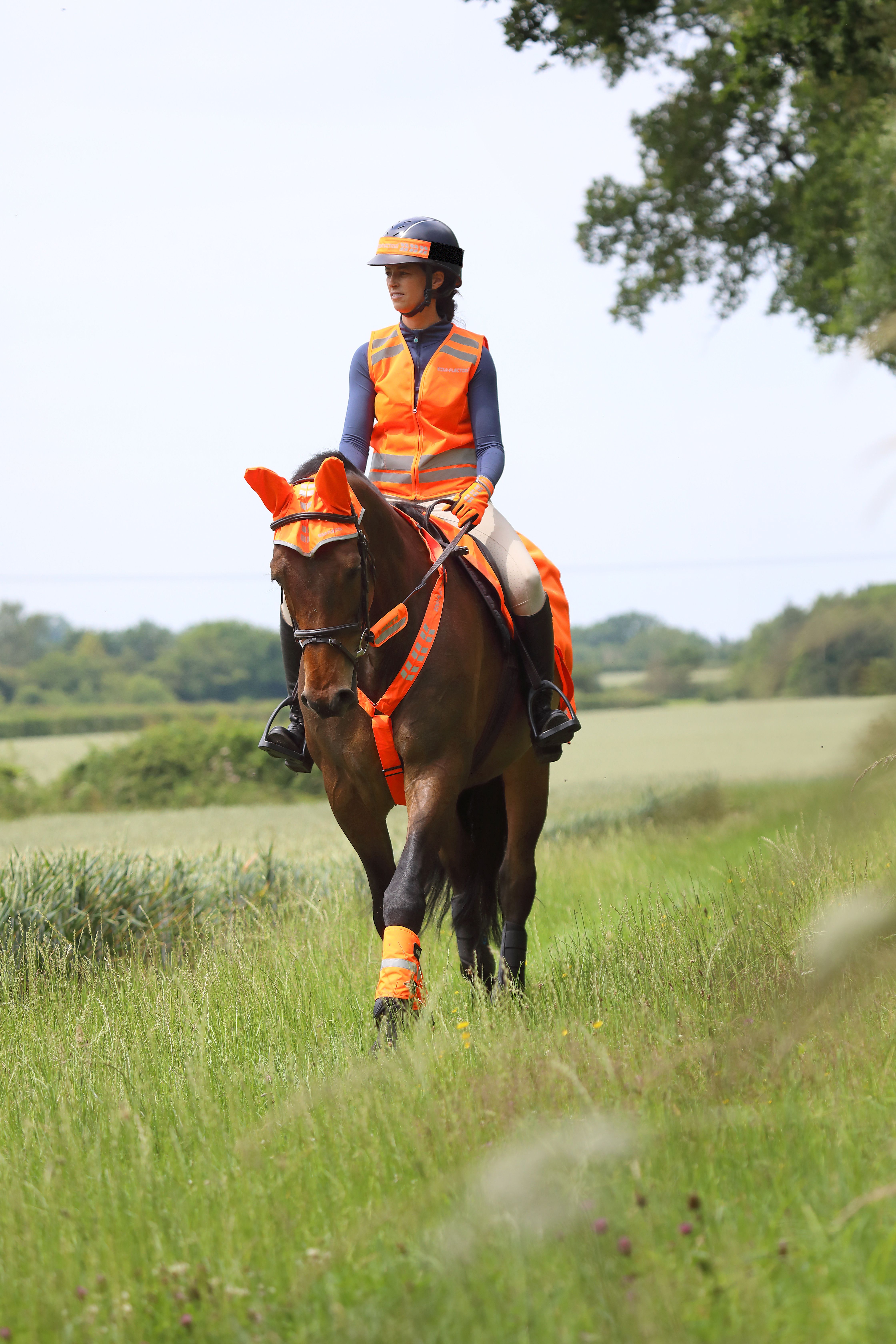 Equi-Flector Fly veil Reflex - Orange - 4