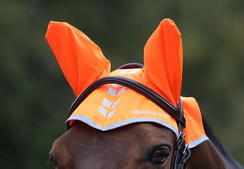 Equi-Flector Fly veil Reflex - Orange