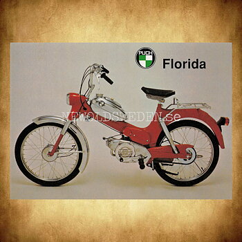 PUCH Florida MV 50 - Vykort A5