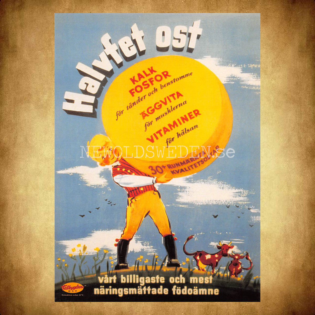 Falbygdens OST - Halvfet ost - Vykort A5 - 2