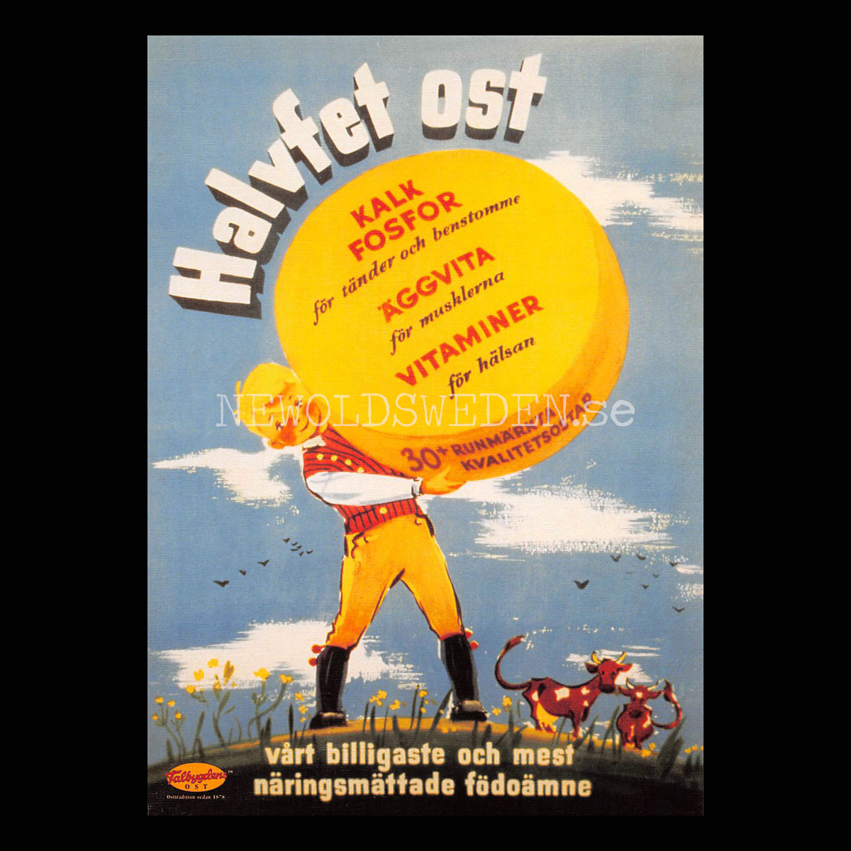 Falbygdens OST - Halvfet ost - Vykort A5