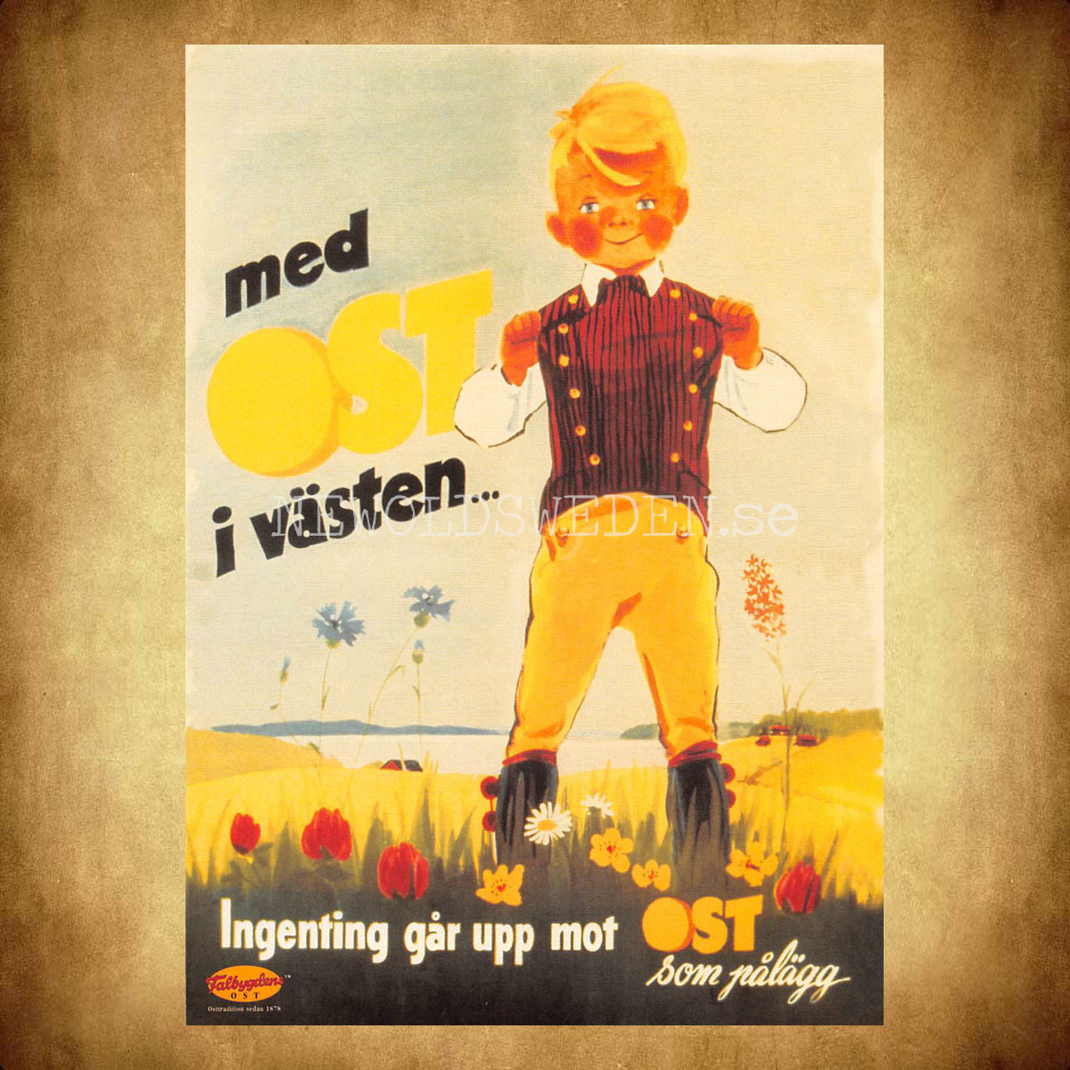 Falbygdens OST med OST i västen ... - Vykort A5 - 2