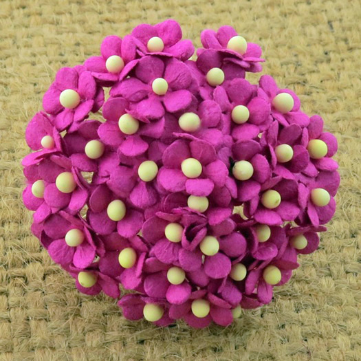 100 Miniature  Deep Pink  Sweetheart Blossom Flower