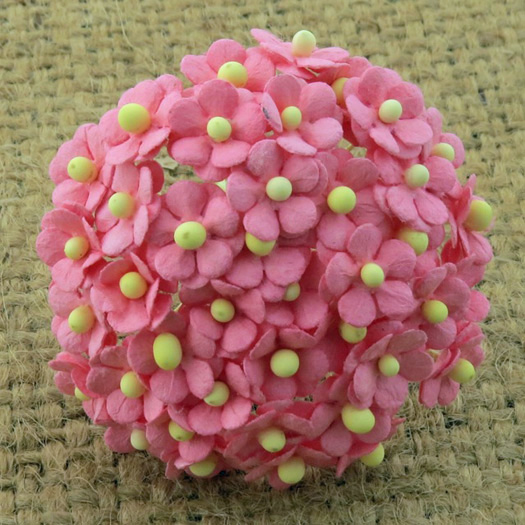 100 Miniature  Pink  Sweetheart Blossom Flower