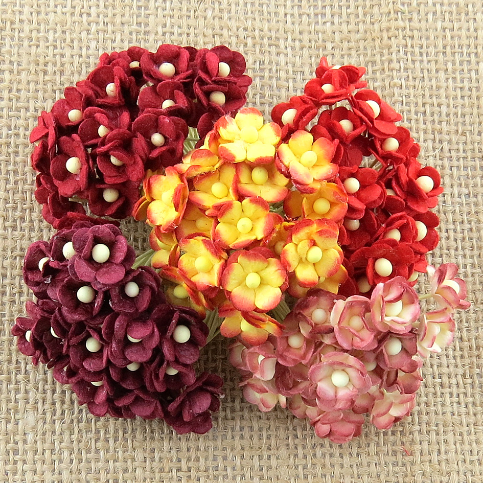 100 Miniature  Mixed Red  Sweetheart Blossom Flower