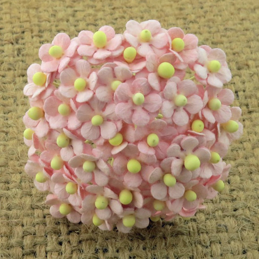 100 Miniature  Pale Pink Sweetheart Blossom Flower