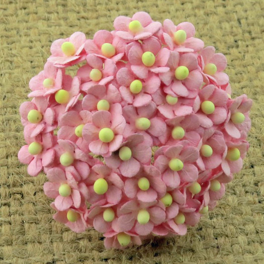 100 Miniature Baby Pink  Sweetheart Blossom Flower