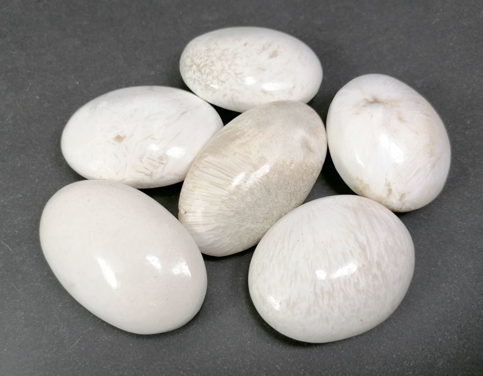 Pebbles "No Worry Stone" - Vit Scolecit 