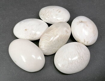 Pebbles "No Worry Stone" - Vit Scolecit 
