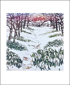 Snowdrop Wood by Sally Winter, Greeting Card