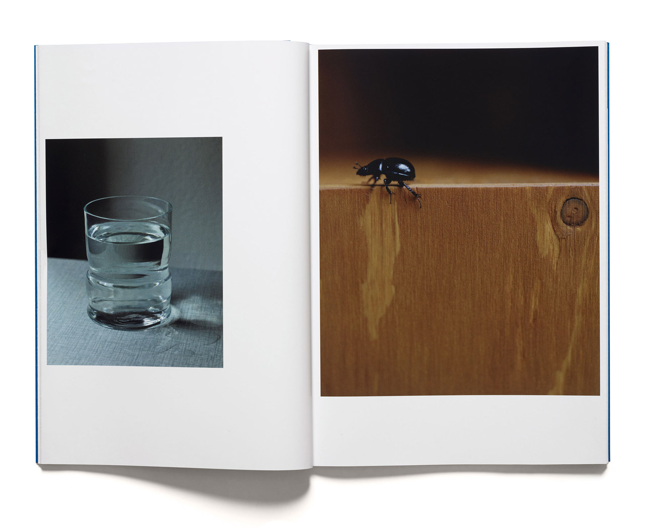 Anders Kylberg: Water Box  Beach Glass - 6