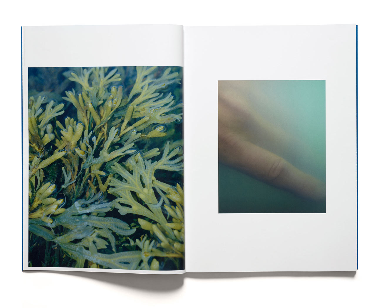 Anders Kylberg: Water Box  Beach Glass - 3