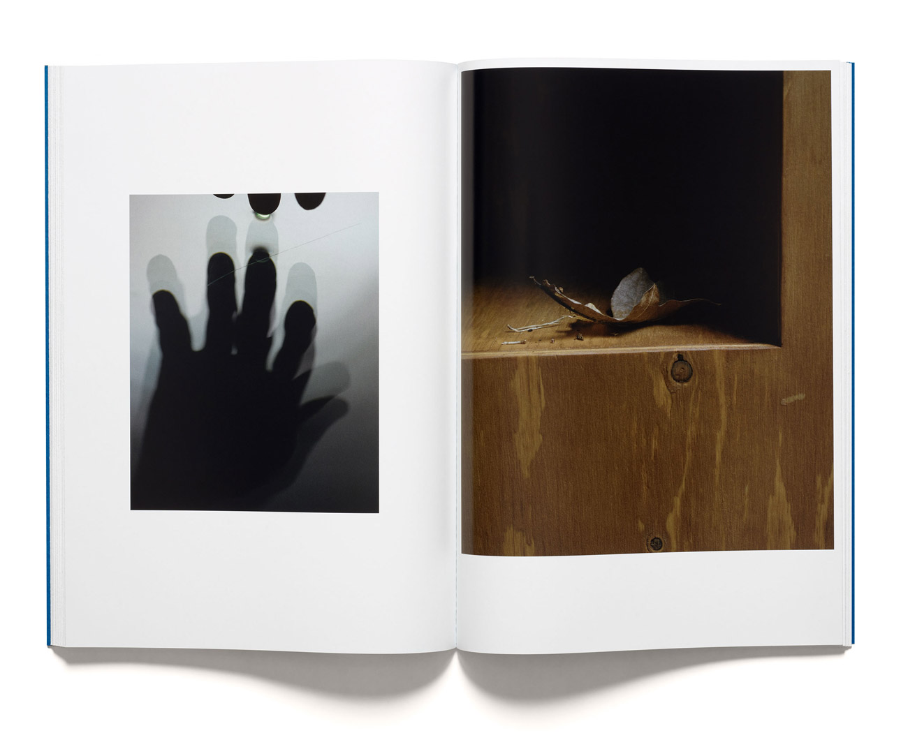 Anders Kylberg: Water Box  Beach Glass - 8