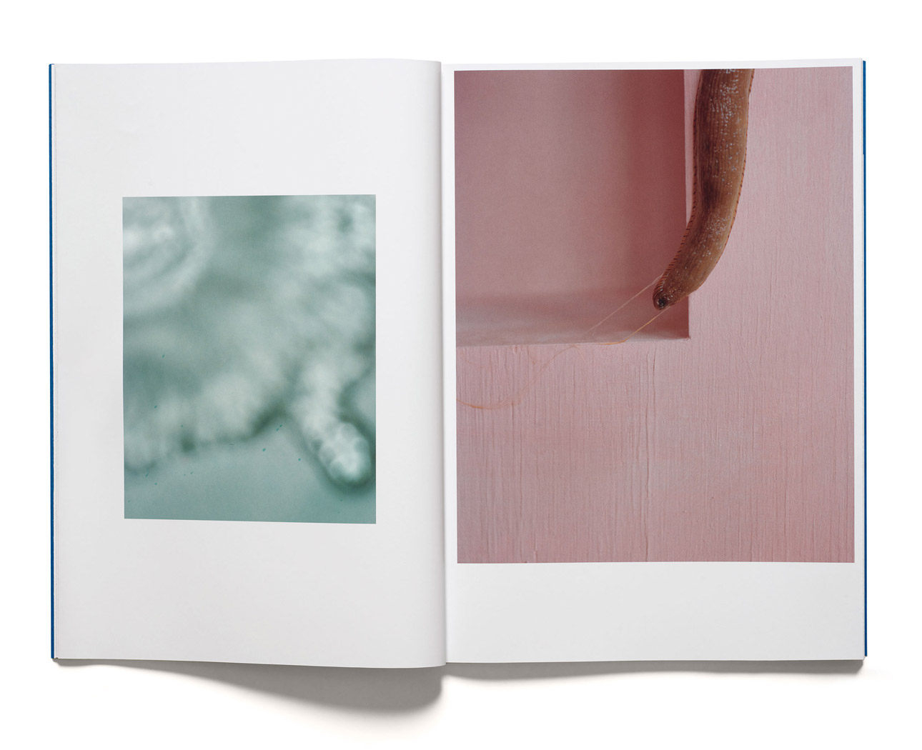 Anders Kylberg: Water Box  Beach Glass - 5