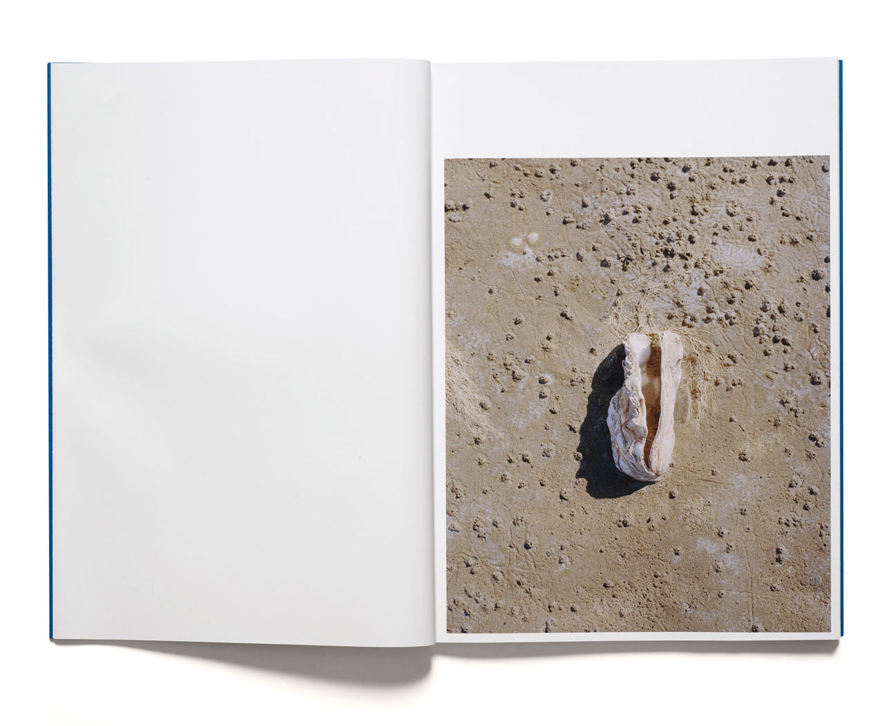 Anders Kylberg: Water Box  Beach Glass - 4