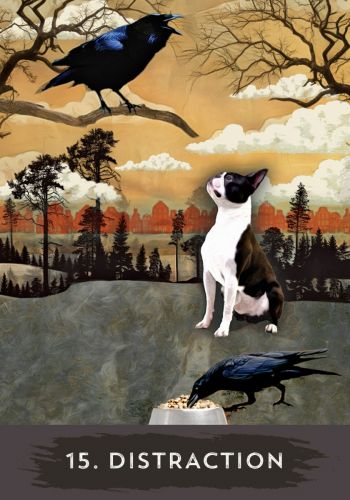 Urban Crow Oracle: A 54-Card Deck and Guidebook Cards – MJ Cullinane  - 2