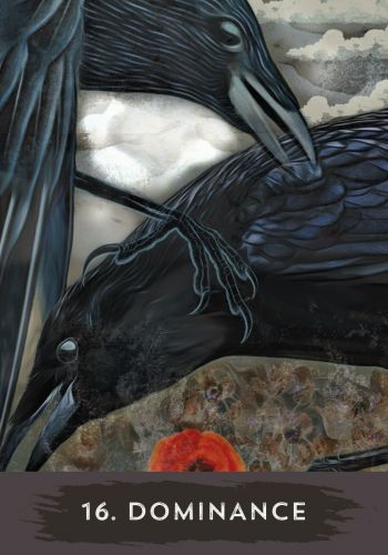 Urban Crow Oracle: A 54-Card Deck and Guidebook Cards – MJ Cullinane  - 3