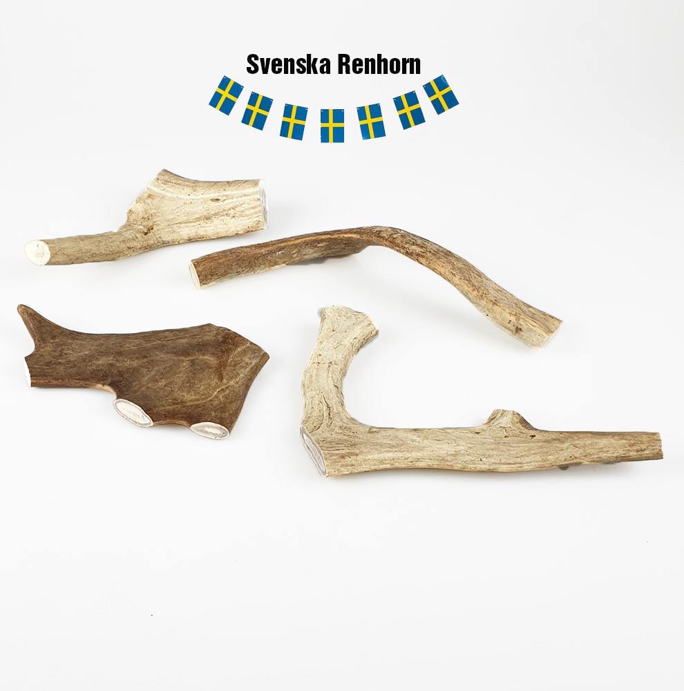 Renhorn