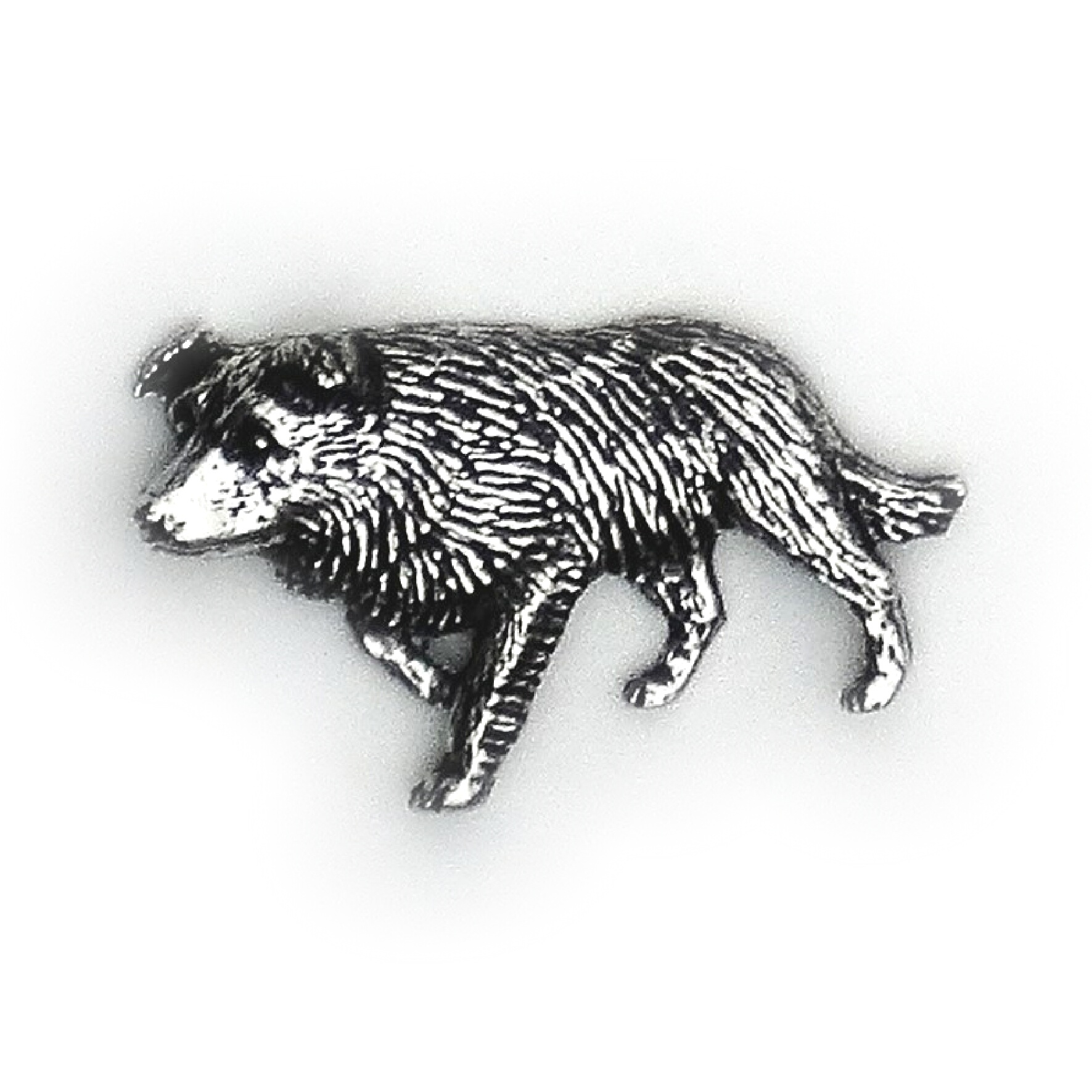 PIN Border Collie