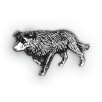 PIN Border Collie