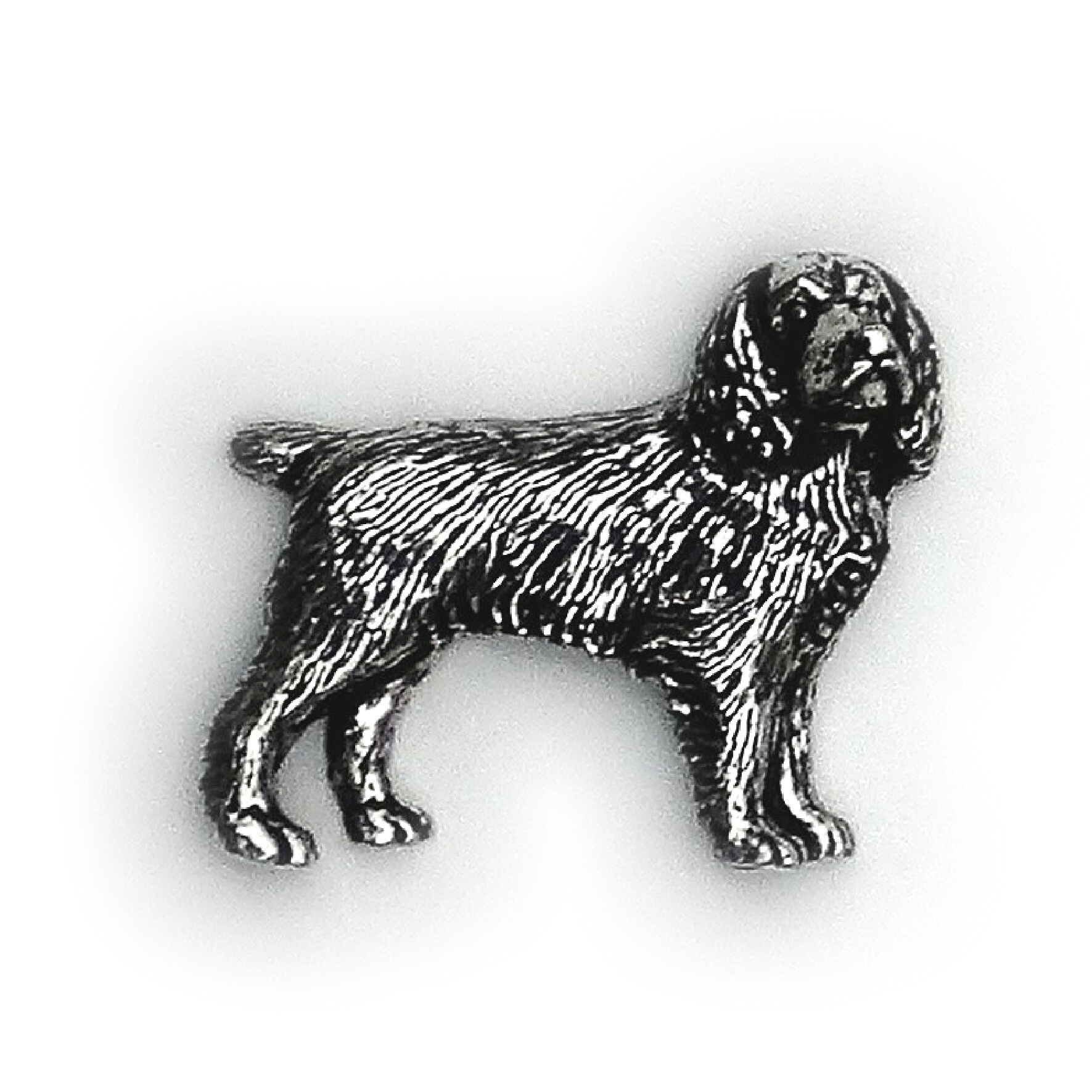 PIN Spaniel