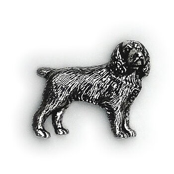 PIN Spaniel