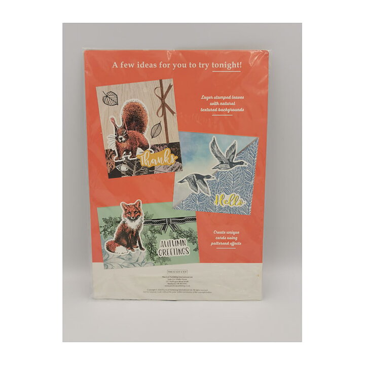  Practical Publishing International Clear Stamps - Wild & Free Animals & Words
