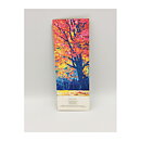  Practical Publishing International Clear Stamps - Wild & Fun  Words & Phrases