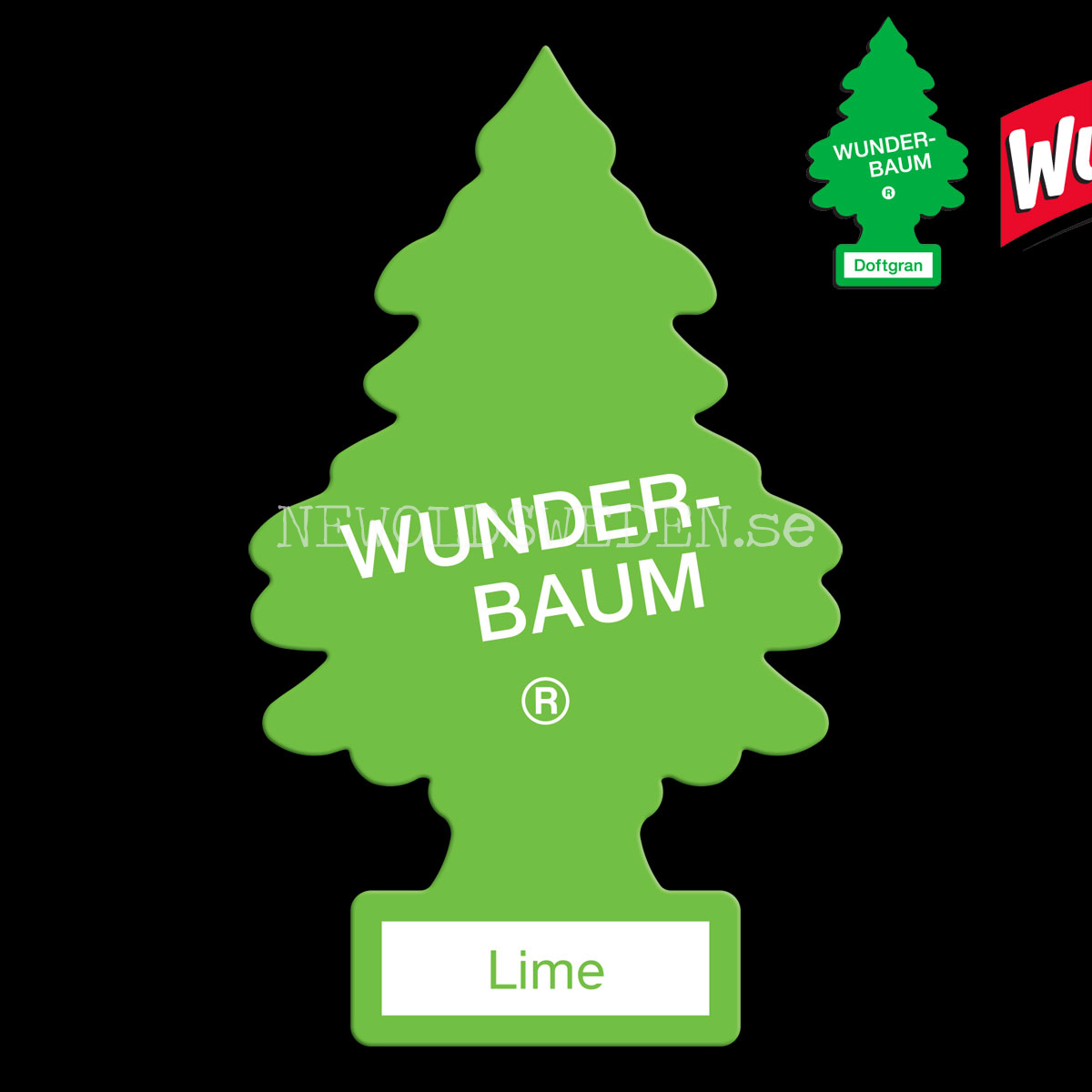 LIME Doftgran Wunder-Baum - 2