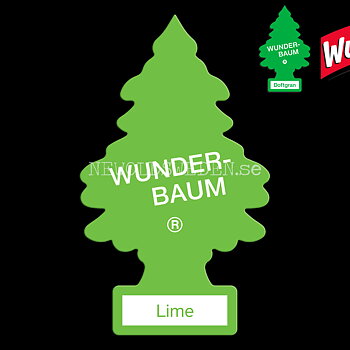 LIME Doftgran Wunder-Baum