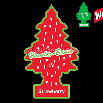 STRAWBERRY Doftgran Wunder-Baum