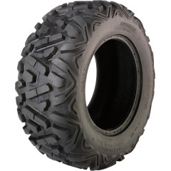 Switchback 12" på Buckshot alum fälgar 4/156 Polaris - 2