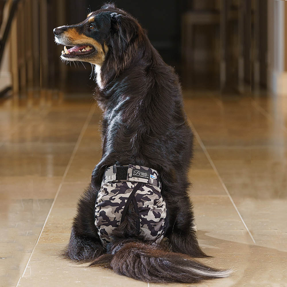 Tikskydd för hund Brenda 